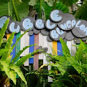 Bubble Tailandia